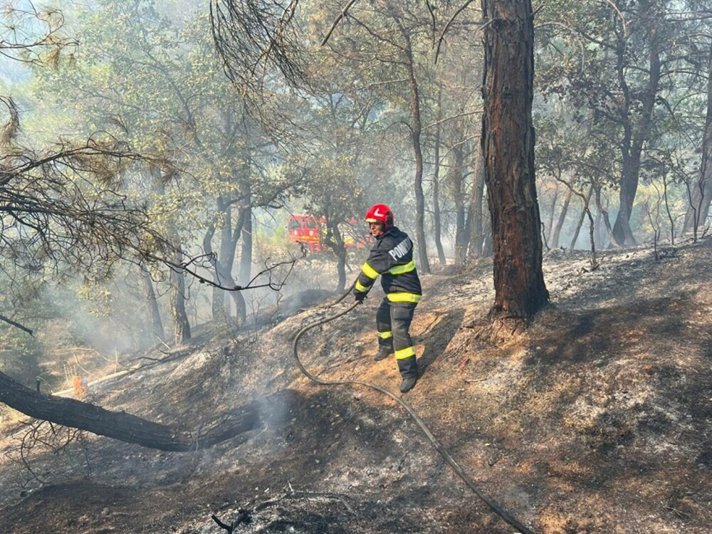 Pompierii români continuă să îi ajute pe cei eleni în stingerea unui incendiu de pădure. FOTO - Imaginea 1