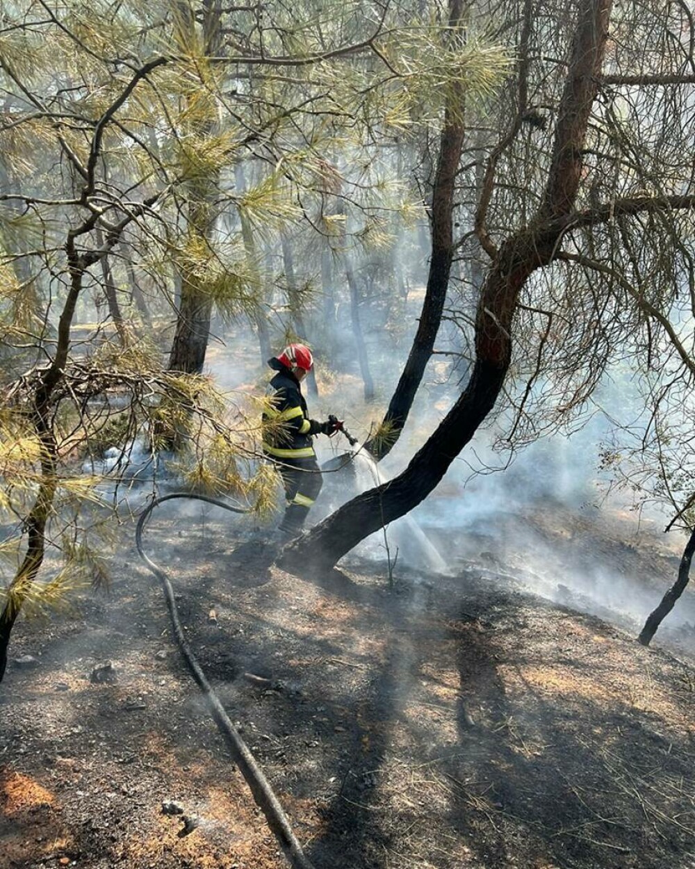 Pompierii români continuă să îi ajute pe cei eleni în stingerea unui incendiu de pădure. FOTO - Imaginea 4