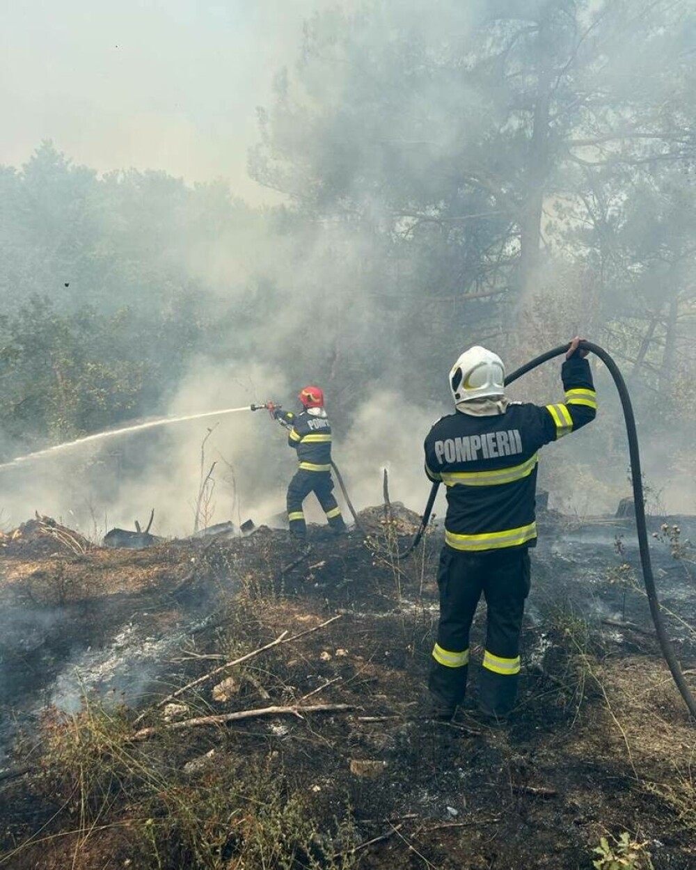 New York Times, reportaj despre incendiile din Grecia. Localnic: Românii sunt niște mașini. Suntem norocoși că sunt aici - Imaginea 24