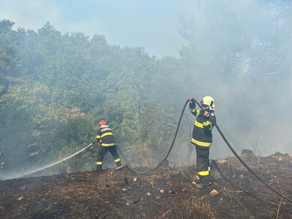 Pompierii români continuă să îi ajute pe cei eleni în stingerea unui incendiu de pădure. FOTO - Imaginea 6