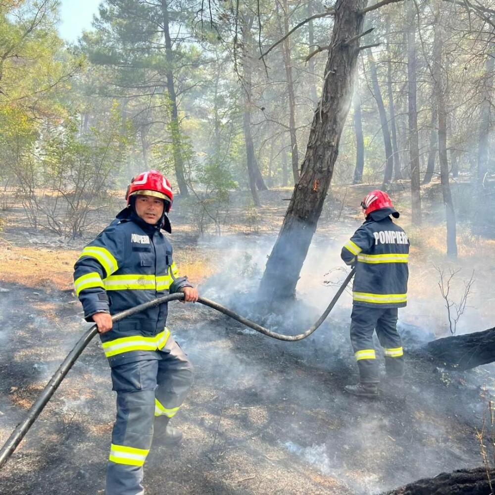New York Times, reportaj despre incendiile din Grecia. Localnic: Românii sunt niște mașini. Suntem norocoși că sunt aici - Imaginea 21