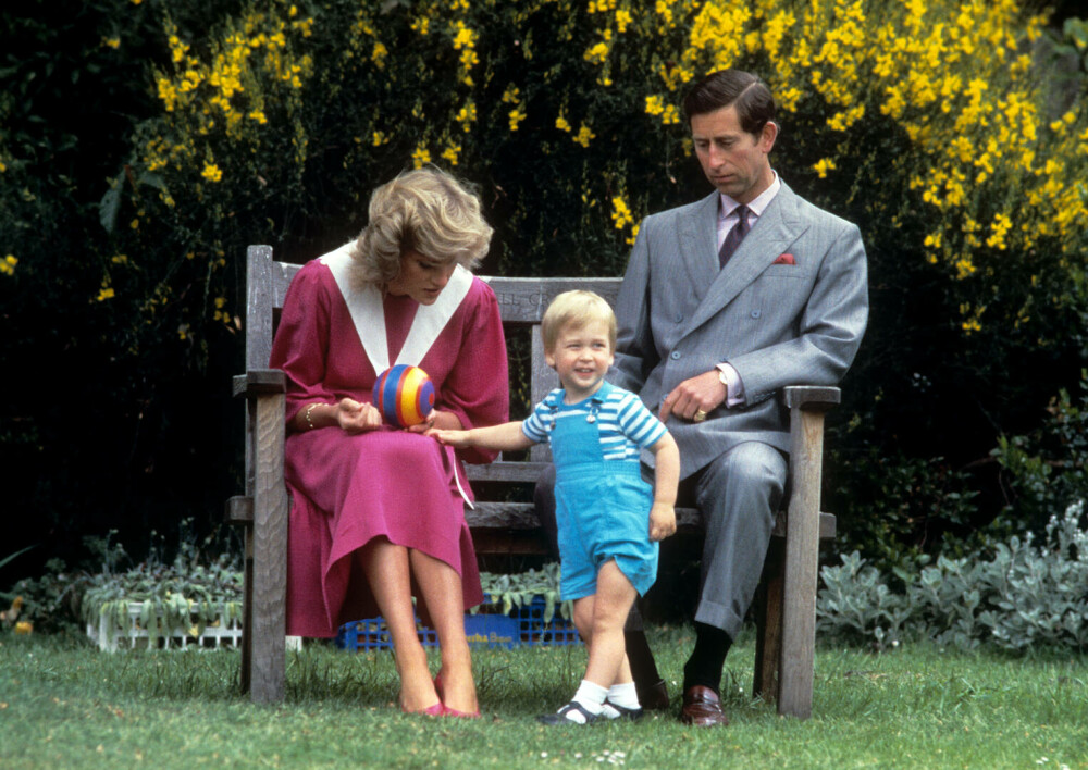 Promisiunea făcută de prințul William pentru mama sa, cu un an înainte să moară. Prințesa Diana a izbcnit în lacrimi | FOTO - Imaginea 12