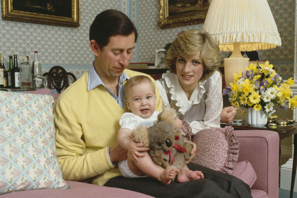 Promisiunea făcută de prințul William pentru mama sa, cu un an înainte să moară. Prințesa Diana a izbcnit în lacrimi | FOTO - Imaginea 17