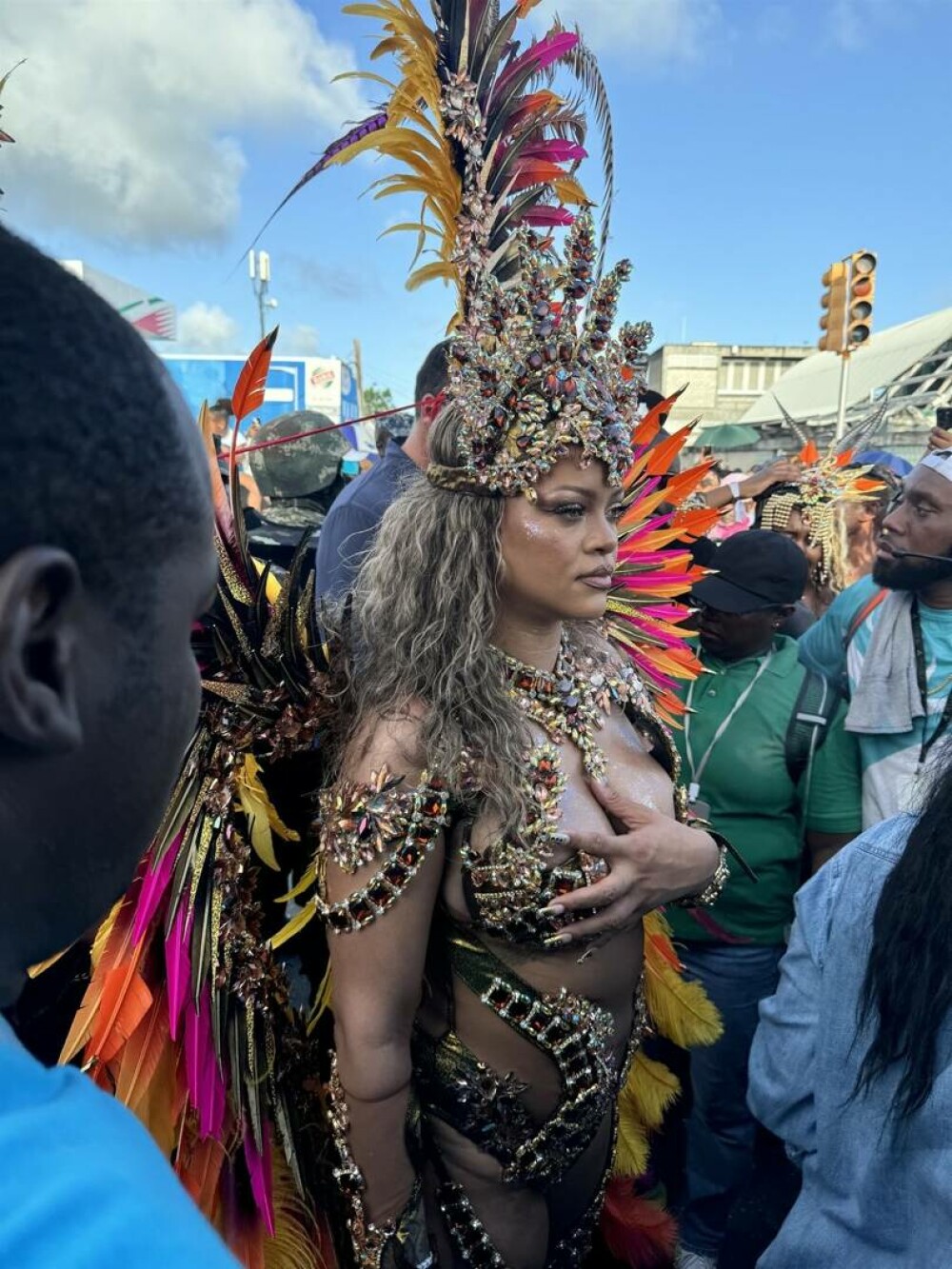 Rihanna, aşa cum nu am mai văzut-o. Cum a apărut în fața fanilor la carnavalul din Barbados. GALERIE FOTO - Imaginea 10