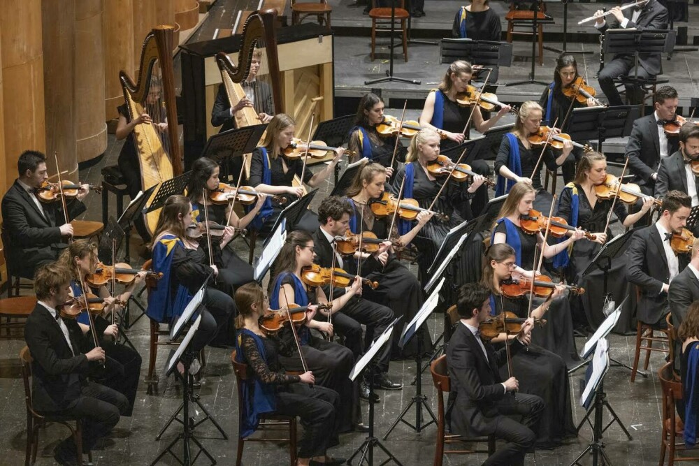 Cum să te alături Orchestrei Uniunii Europene de Tineret. Sfaturi de la un violonist român care a reușit - Imaginea 9