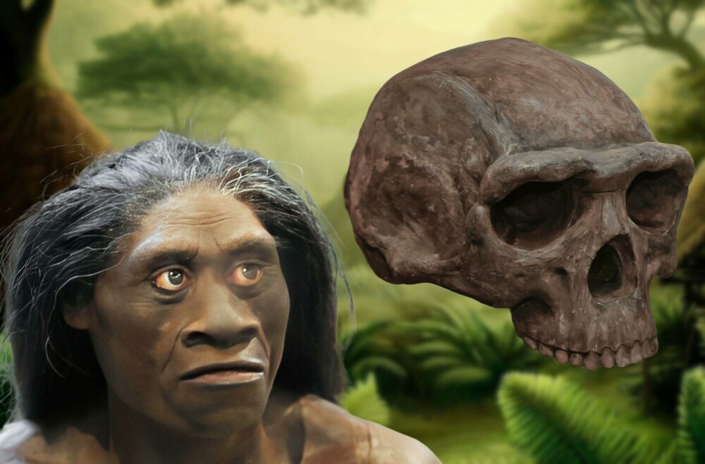 A fost găsit un os provenit de la o specie minusculă de oameni antici. Ce se știe despre Homo floresiensis. FOTO - Imaginea 3