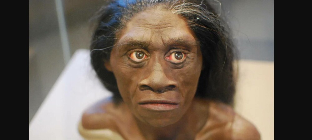 A fost găsit un os provenit de la o specie minusculă de oameni antici. Ce se știe despre Homo floresiensis. FOTO - Imaginea 5