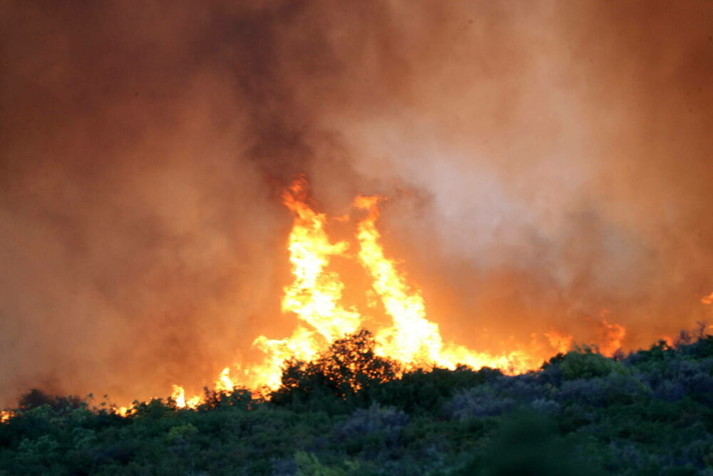 Imagini dramatice cu infernul din Grecia. Incendiile de vegetație sunt vizibile din spaţiu | GALERIE FOTO - Imaginea 31