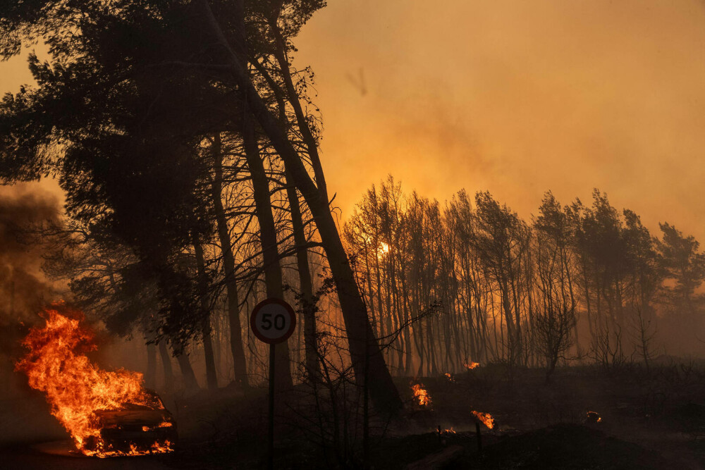 Incendii în apropiere de Atena. Stadionul olimpic OAKA a fost deschis pentru a găzdui miile de oameni evacuați. FOTO&VIDEO - Imaginea 13