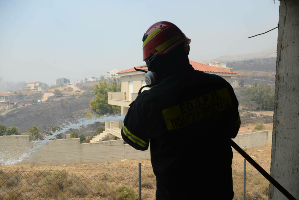 Incendii în apropiere de Atena. Stadionul olimpic OAKA a fost deschis pentru a găzdui miile de oameni evacuați. FOTO&VIDEO - Imaginea 15