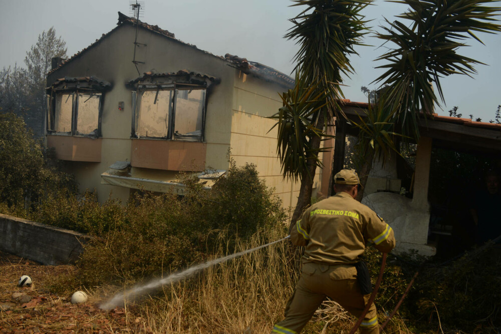 Imagini dramatice cu infernul din Grecia. Incendiile de vegetație sunt vizibile din spaţiu | GALERIE FOTO - Imaginea 19