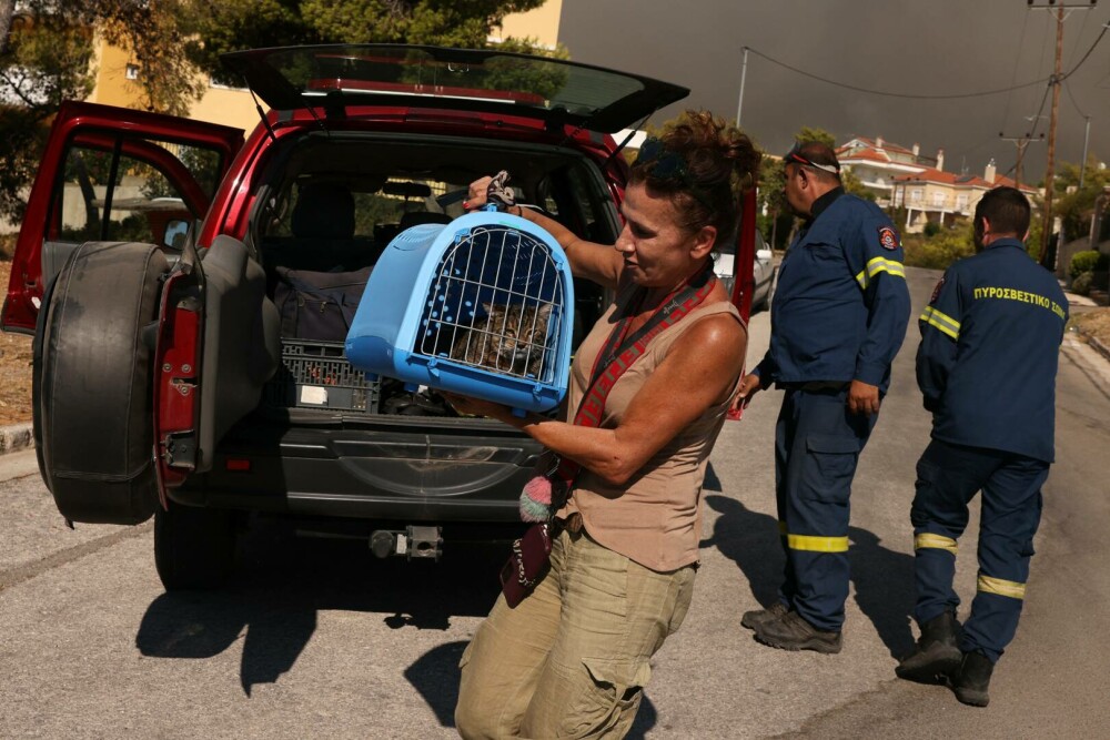 Imagini dramatice cu infernul din Grecia. Incendiile de vegetație sunt vizibile din spaţiu | GALERIE FOTO - Imaginea 5