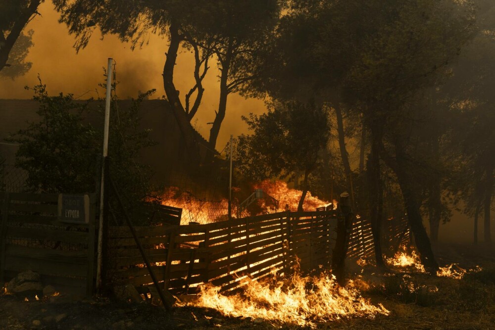 Imagini dramatice cu infernul din Grecia. Incendiile de vegetație sunt vizibile din spaţiu | GALERIE FOTO - Imaginea 8