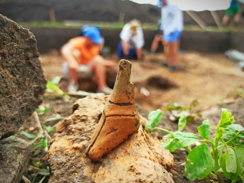 Descoperire arheologică senzațională, lângă Târgu Neamț. Au o vechime de 8.000 de ani | FOTO - Imaginea 1