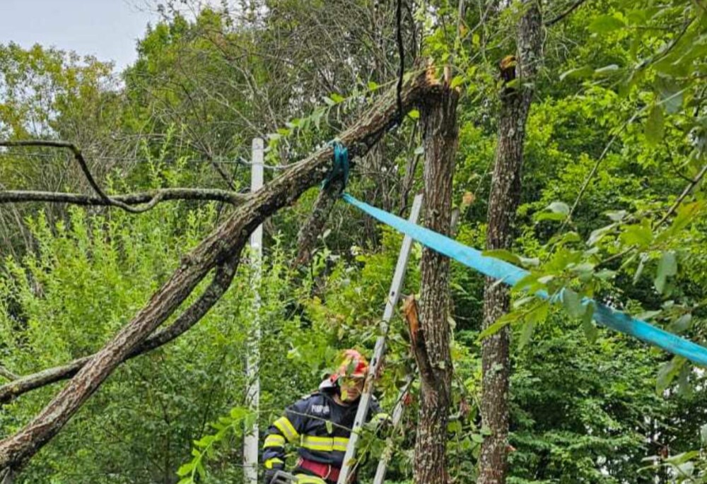 Furtună puternică în Hunedoara. Mai mulţi copaci au căzut pe drumuri şi cabluri de electricitate - Imaginea 1