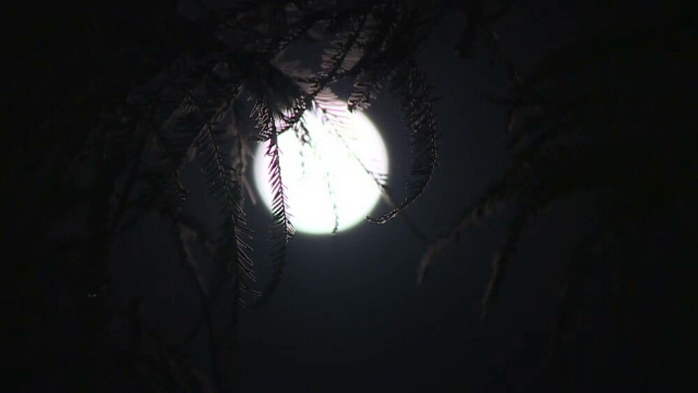 Ce este super luna albastră, de ce se numește așa, și când o vom putea vedea din nou. „Este toată noaptea pe cer” - Imaginea 1