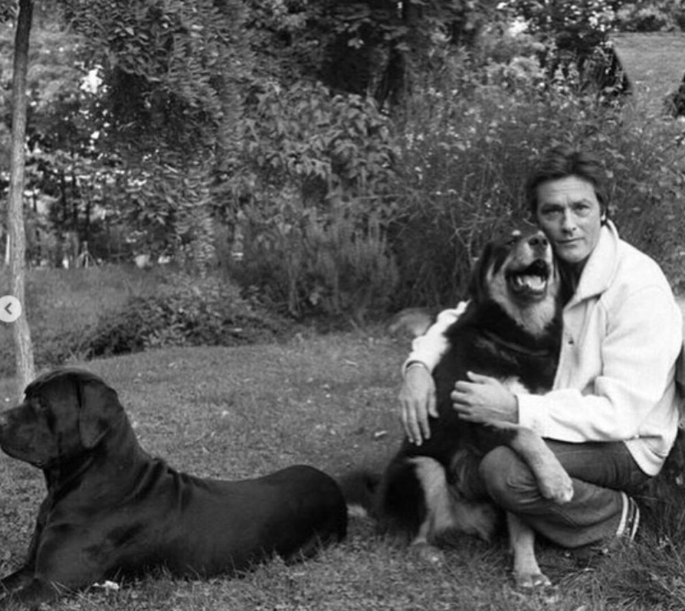Maggie Smith, Alain Delon şi Quincy Jones, printre marile personalităţi care au decedat în ultimul an - Imaginea 7
