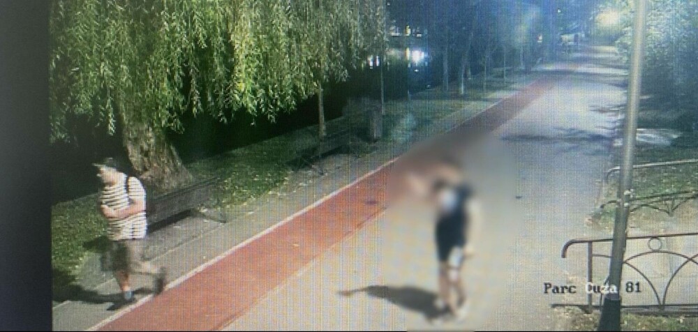 Un bărbat care a vrut să incendieze parcul IOR din Capitală a fost arestat preventiv - Imaginea 1