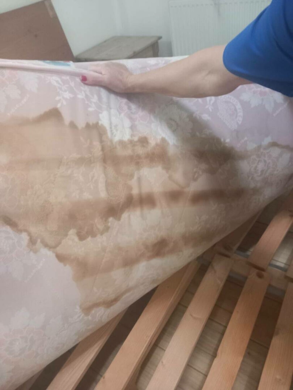 ANPC a dat amenzi de 800.000 lei pe litoral pentru kendame „periculoase”, tatuaje, mâncare stricată și mizerie - Imaginea 2