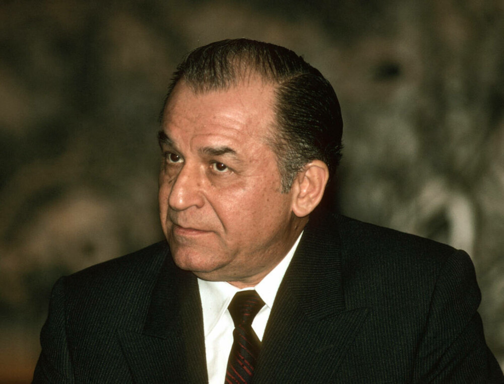 Viața lui Ion Iliescu în imagini. Momente cheie din cariera primului președinte al României postcomuniste | FOTO - Imaginea 6