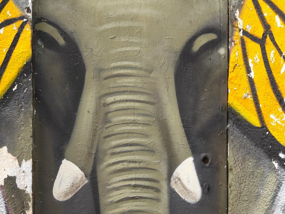 Honor Magic V5: Ce spune Marian Andrei de la I Like IT despre cel mai subțire telefon pliabil din lume - Imaginea 8