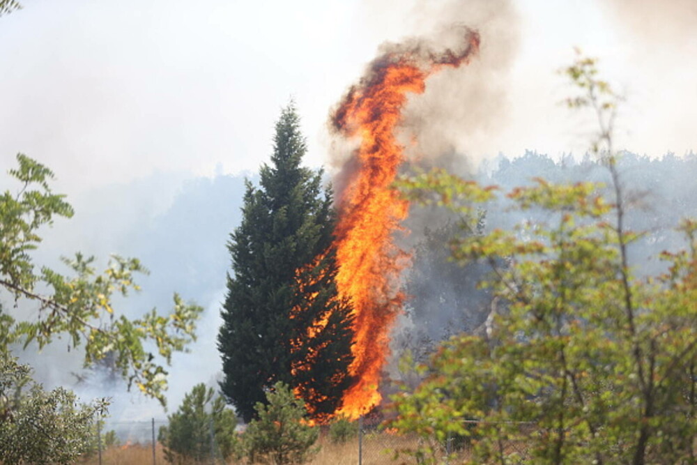 Sudul Europei, în alertă din cauza incendiilor. Flăcările au înghițit case în doar câteva minute, în Grecia și Turcia - Imaginea 10