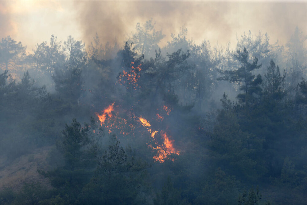 Sudul Europei, în alertă din cauza incendiilor. Flăcările au înghițit case în doar câteva minute, în Grecia și Turcia - Imaginea 2