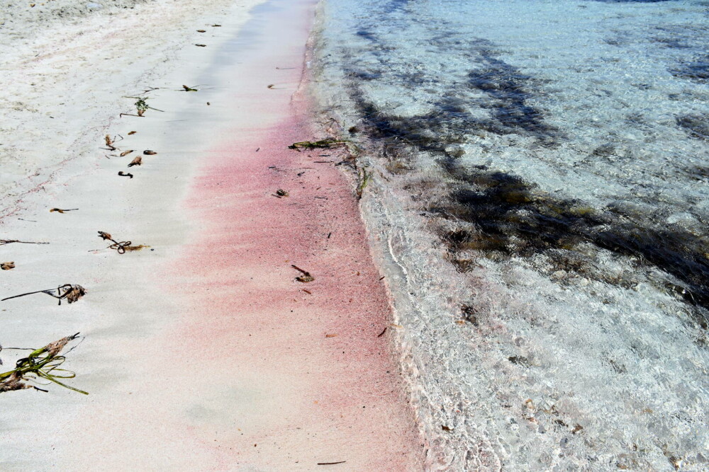 Plaja cu nisip roz din Spania. Cum arată și cum să ajungi la cea mai spectaculoasă plajă din Insulele Baleare - Imaginea 8