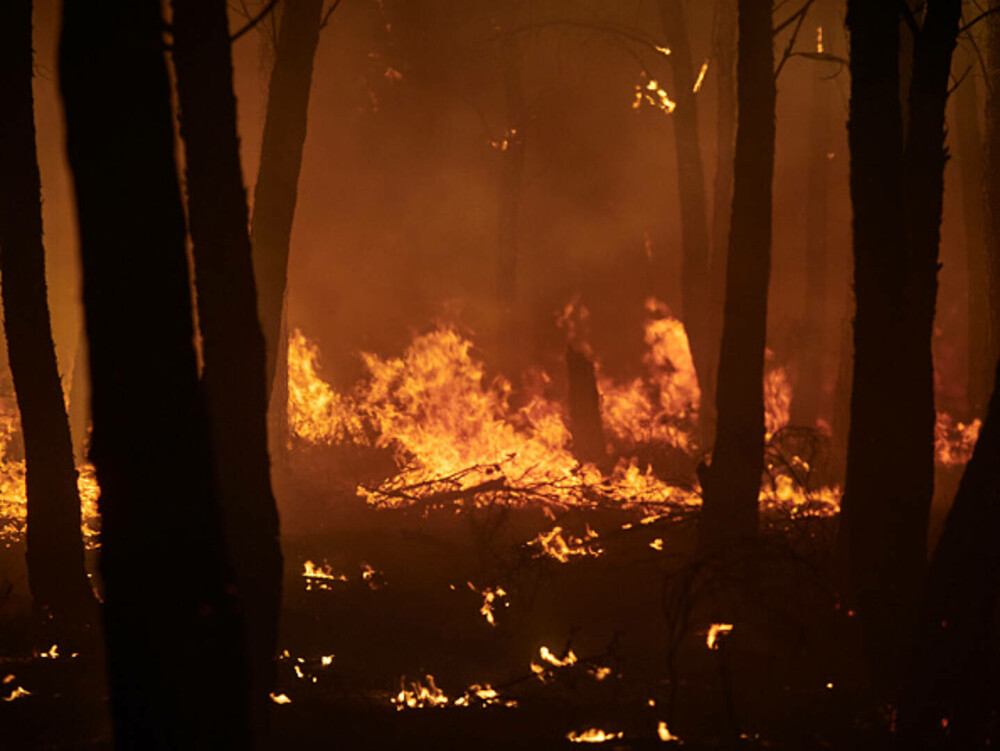 Românul mort în incendiile de vegetație din Spania sărise în foc pentru a-și salva șeful. „Era un om deosebit” - Imaginea 13