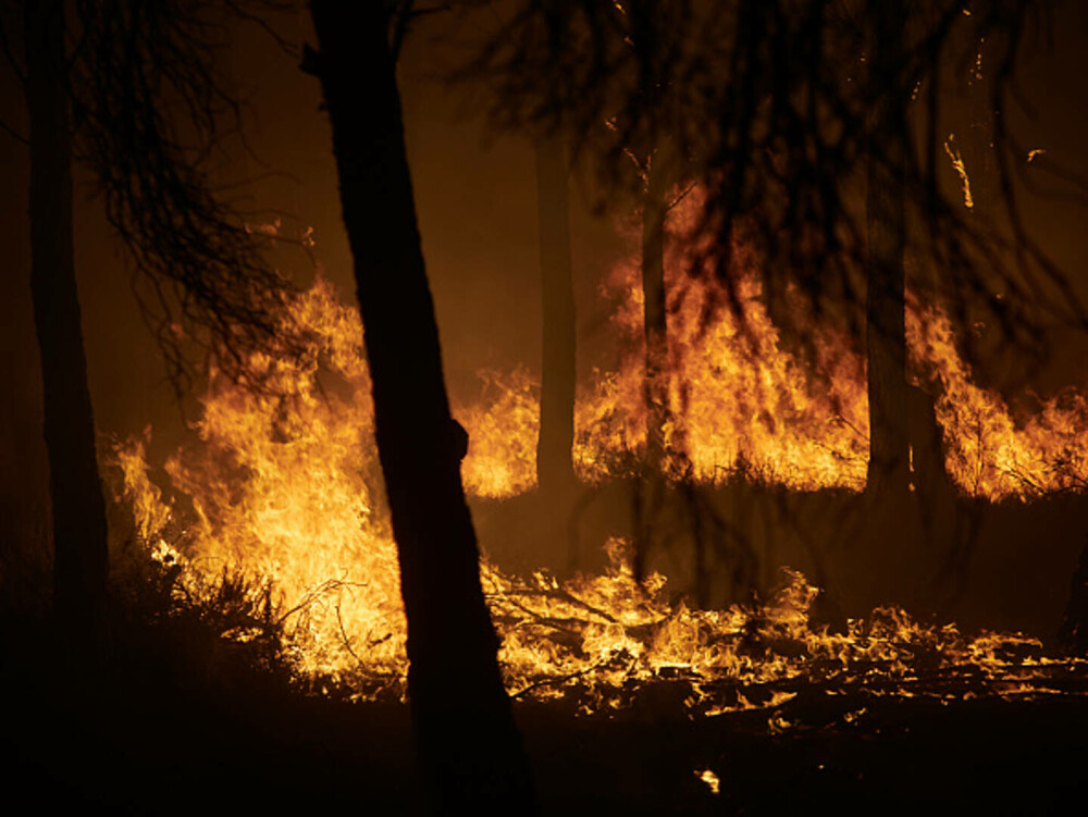 Românul mort în incendiile de vegetație din Spania sărise în foc pentru a-și salva șeful. „Era un om deosebit” - Imaginea 14