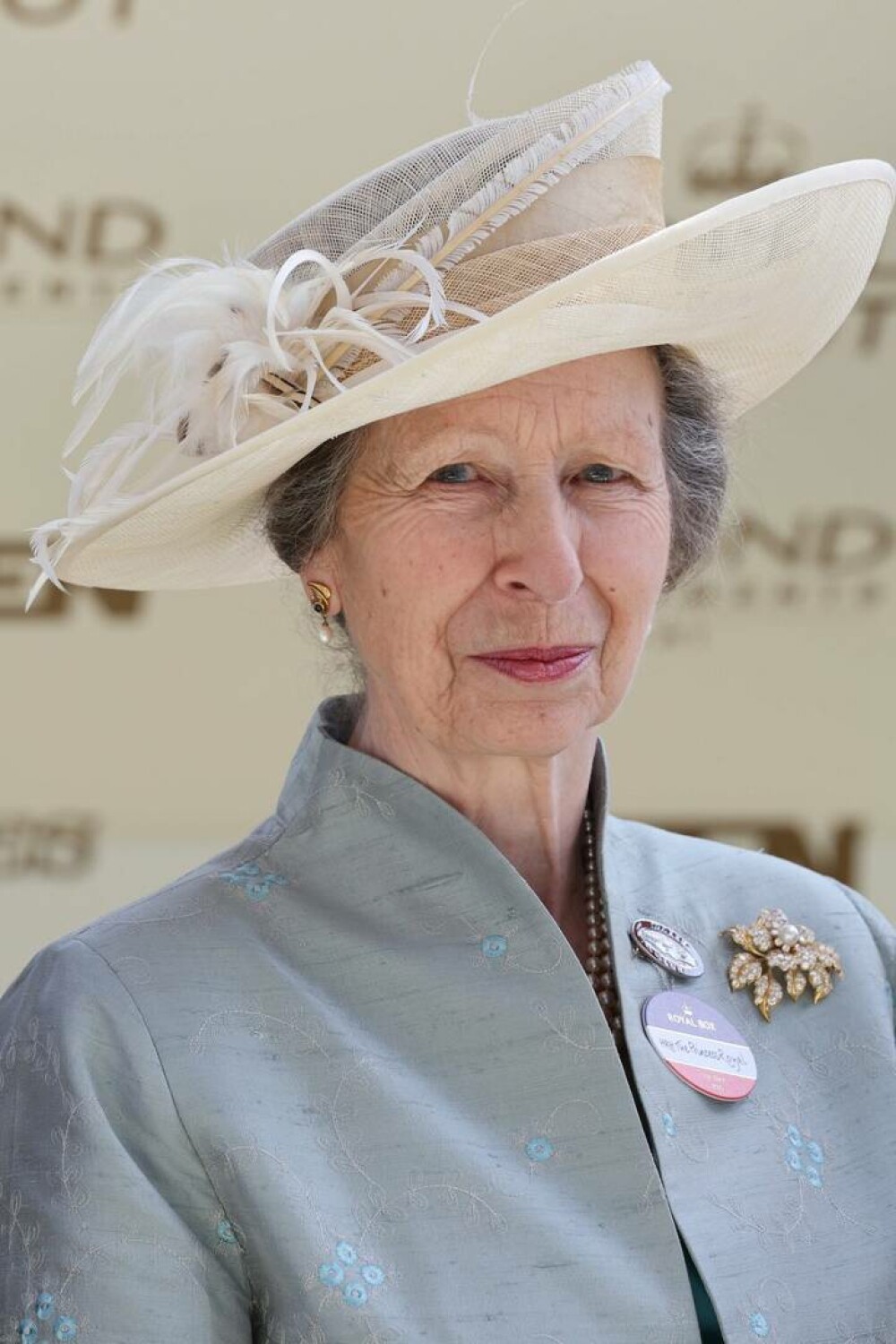 Unica fiică a Reginei Elisabeta, Prințesa Anne, împlinește 75 de ani. Detalii neștiute despre viața sa. GALERIE FOTO - Imaginea 10