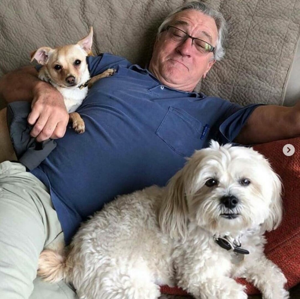 Robert De Niro împlineşte 82 de ani. Povestea unuia dintre actorii legendari ai cinematografiei. FOTO - Imaginea 22
