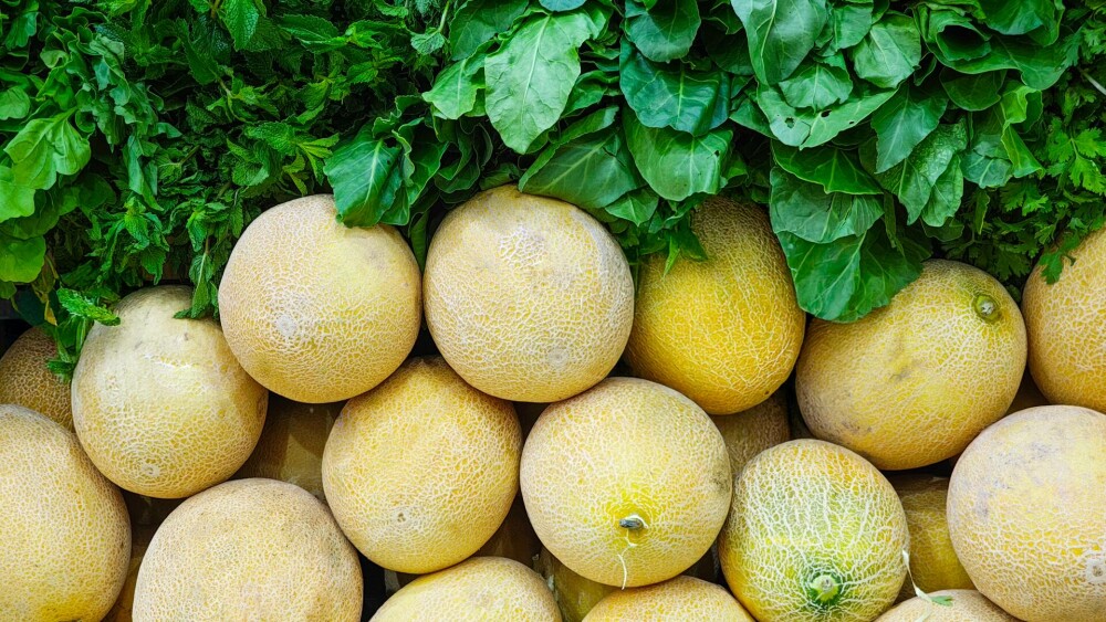 Care sunt cele mai populare soiuri de pepene în România. Ce să alegi între pepenele roșu și pepenele galben - Imaginea 8
