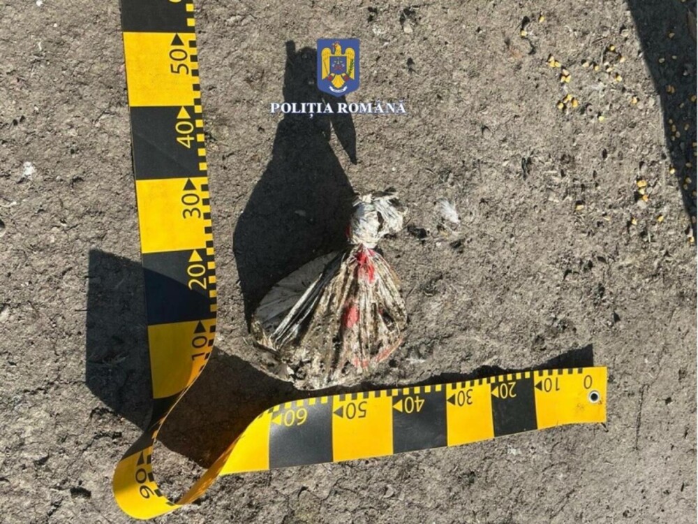 Trei clujeni s-au prefăcut că deratizează casa unui bătrân și i-au furat 30.000 de euro. Unde au ascuns averea. FOTO - Imaginea 5