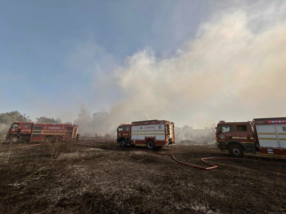 Un incendiu de vegetaţie se extinde cu rapiditate în București. A fost emis mesaj RO-ALERT. FOTO - Imaginea 1