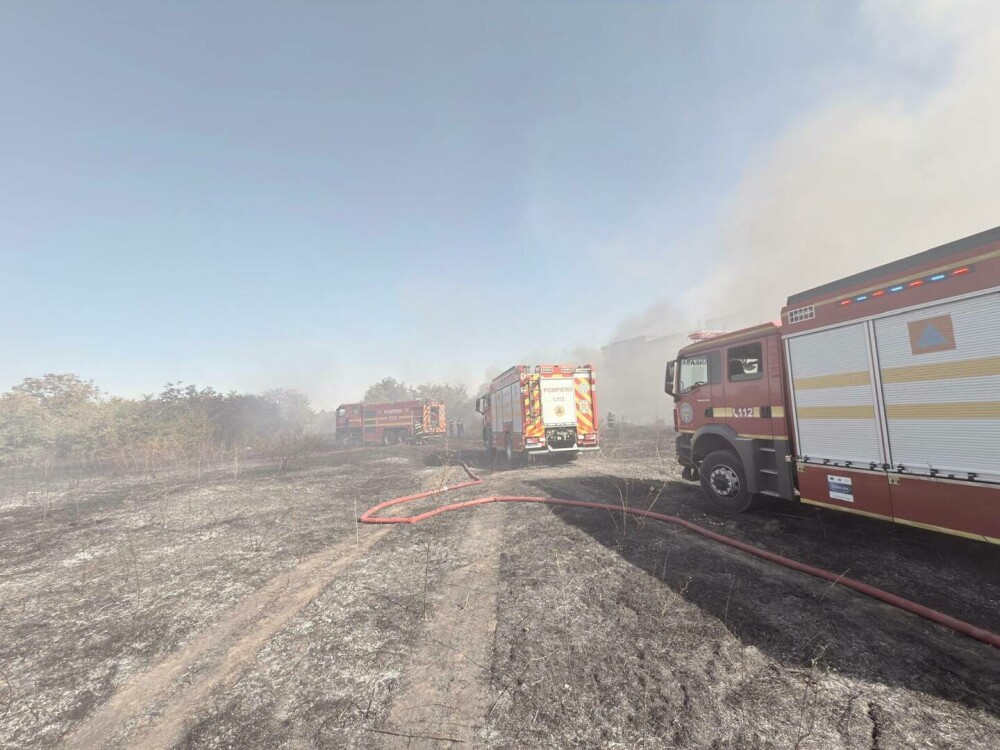 Un incendiu de vegetaţie se extinde cu rapiditate în București. A fost emis mesaj RO-ALERT. FOTO - Imaginea 2