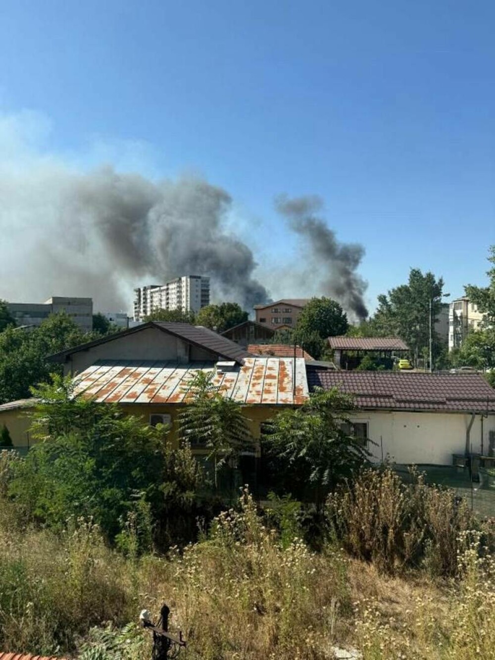 Un incendiu de vegetaţie se extinde cu rapiditate în București. A fost emis mesaj RO-ALERT. FOTO - Imaginea 3