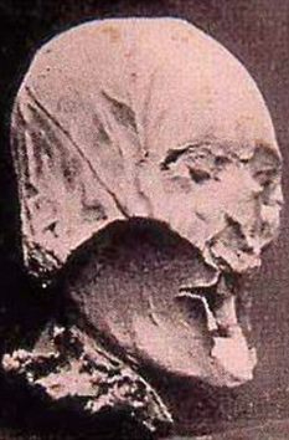 Craniul regelui francez Henric IV, gasit in casa unui pensionar! - Imaginea 3