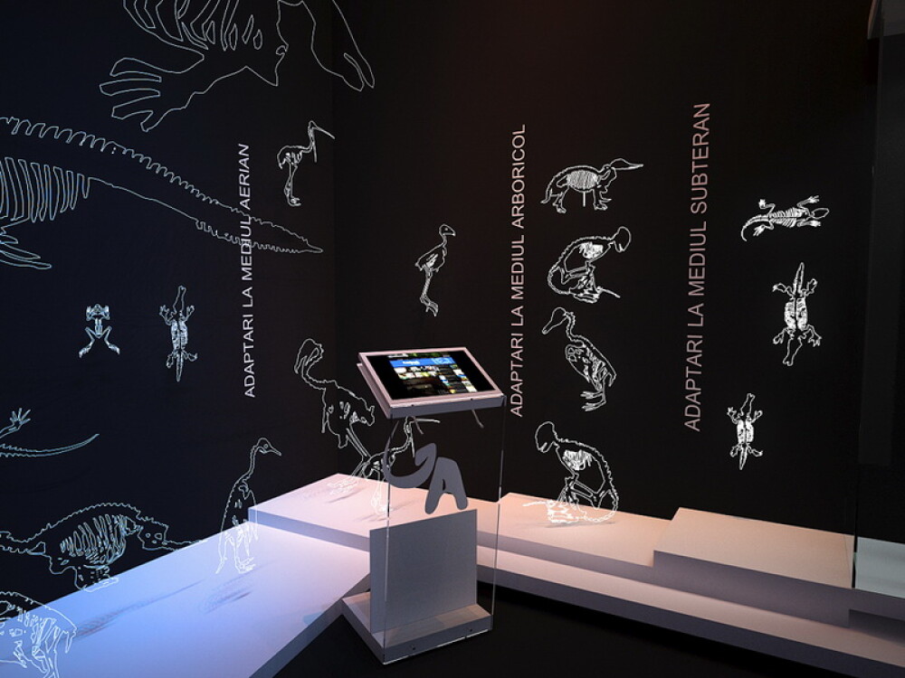 Galerie FOTO. Noul muzeu Antipa, imbinare intre vremuri apuse si tehnologie. Cat costa biletul - Imaginea 13