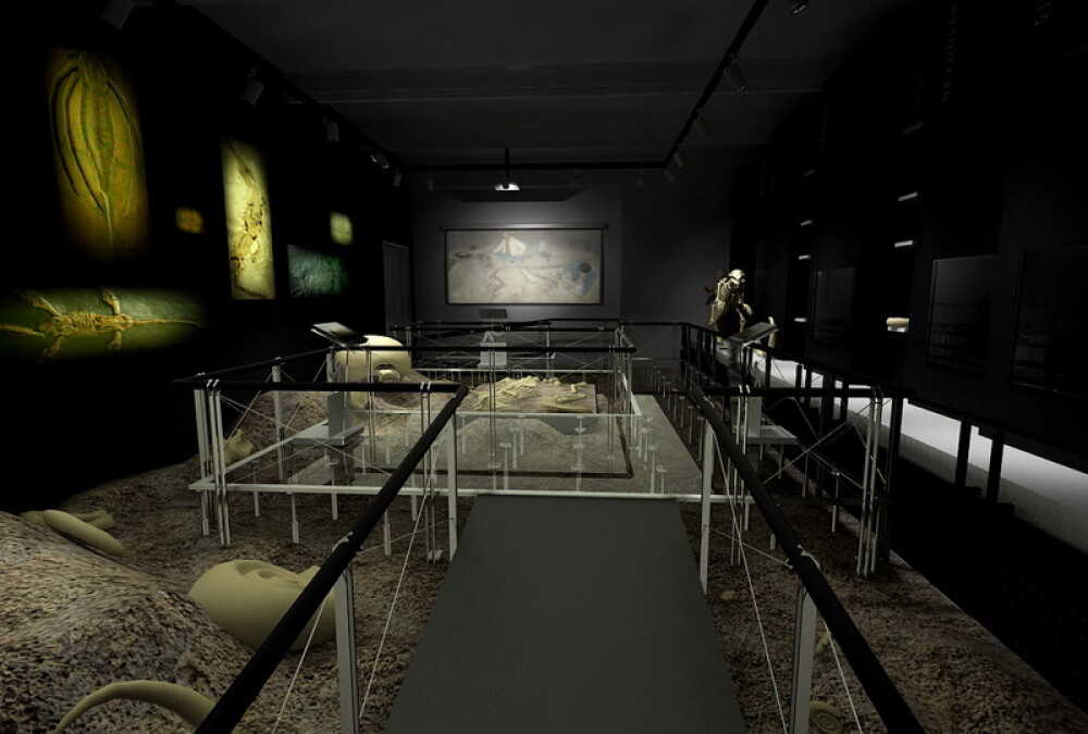 Galerie FOTO. Noul muzeu Antipa, imbinare intre vremuri apuse si tehnologie. Cat costa biletul - Imaginea 9