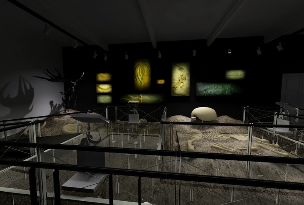 Galerie FOTO. Noul muzeu Antipa, imbinare intre vremuri apuse si tehnologie. Cat costa biletul - Imaginea 8