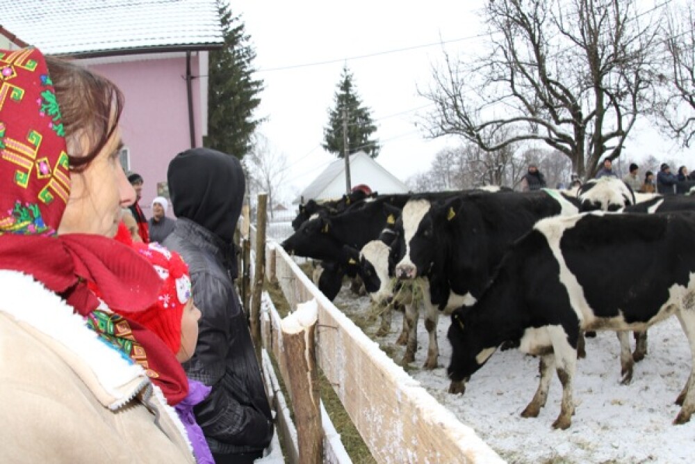 Mos Nicolae a adus 25 de vacute unor familii de romi din judetul Bistrita-Nasaud - Imaginea 3