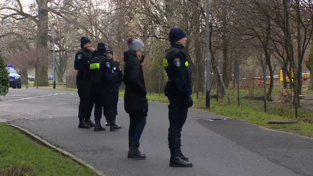 Zece mistreți au năvălit în curtea unei grădinițe din Polonia. Cum au intervenit vânătorii - Imaginea 3