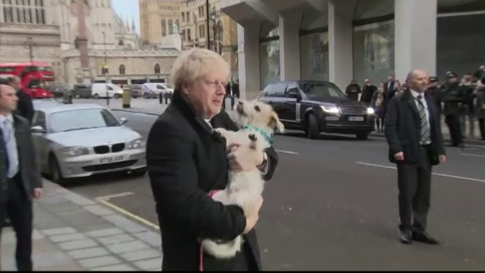 Boris Johnson și-a luat câinele la vot. Ce spun specialiștii despre alegerile din UK - Imaginea 5