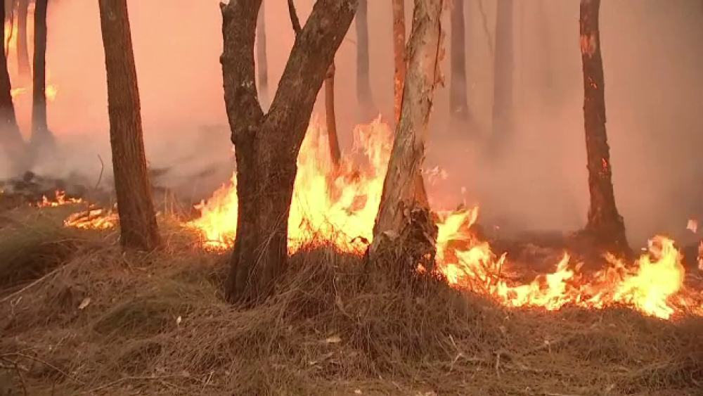 Incendiile uriașe din Australia continuă să facă victime. Cum au murit doi pompieri - Imaginea 2
