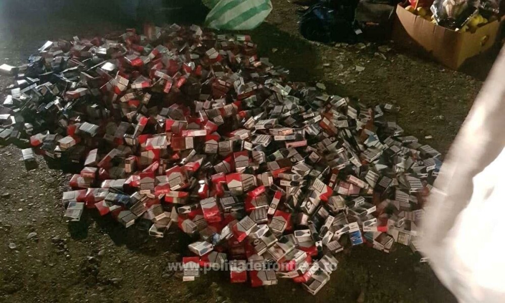 Mii de pachete de țigări de contrabandă ascunse în pitici de grădină, descoperite la Botoșani GALERIE FOTO - Imaginea 9