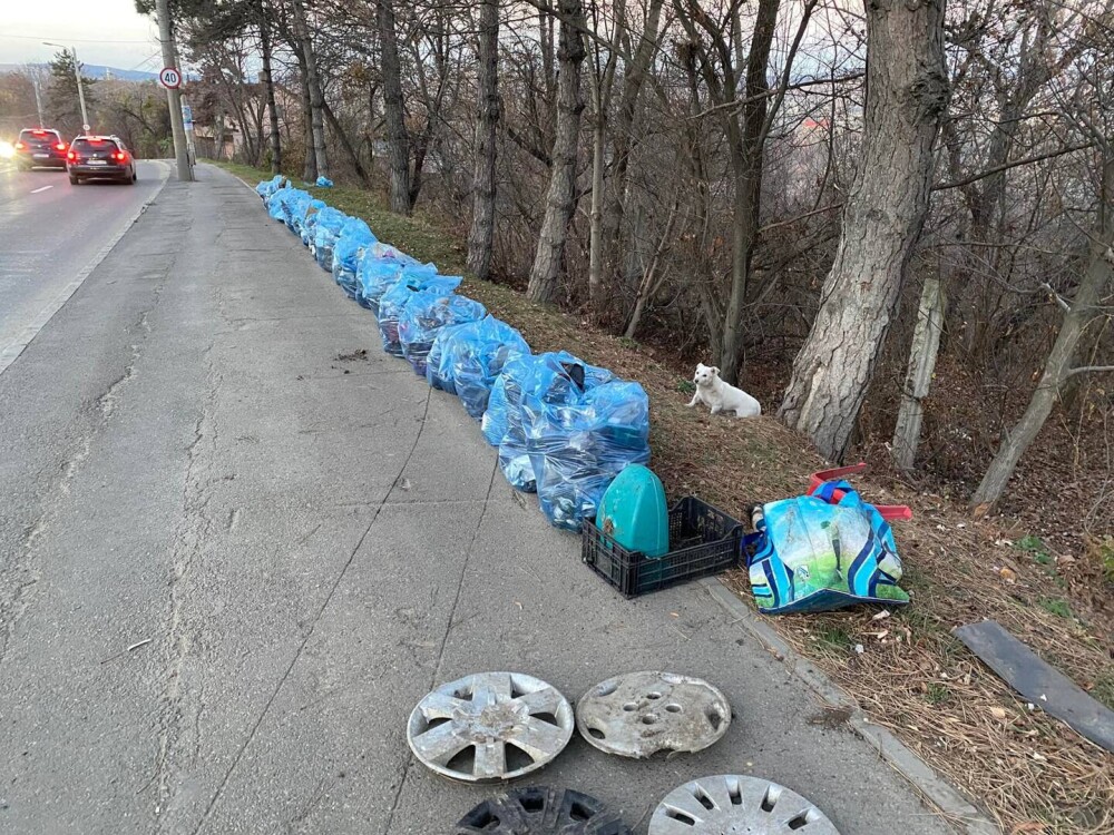 Modul inedit prin care un tânăr din Suceava a marcat ziua de 1 decembrie. GALERIE FOTO - Imaginea 3