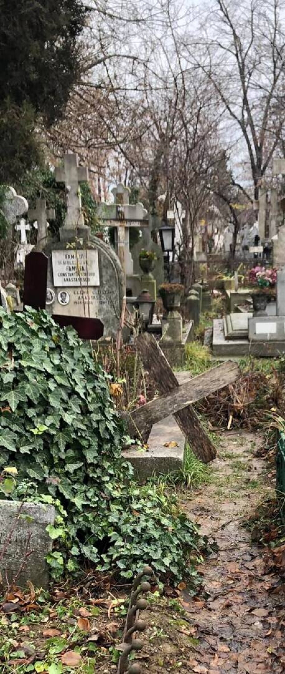 Oana Pellea, după o vizită la cimitirul Bellu: “Doamne, Dumnezeule mare…Ce Rușine!” GALERIE FOTO - Imaginea 5