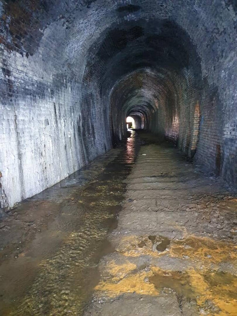Imagini din interiorul unui tunel în care intrarea este interzisă. Ce s-a descoperit înăuntru la 50 de ani de la închidere - Imaginea 5
