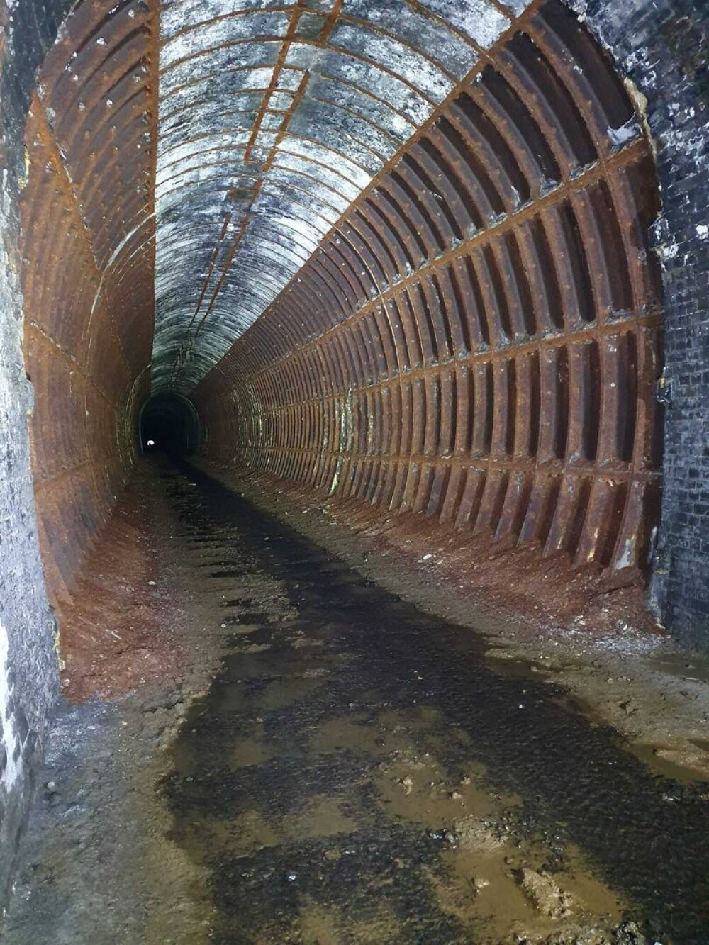 Imagini din interiorul unui tunel în care intrarea este interzisă. Ce s-a descoperit înăuntru la 50 de ani de la închidere - Imaginea 2